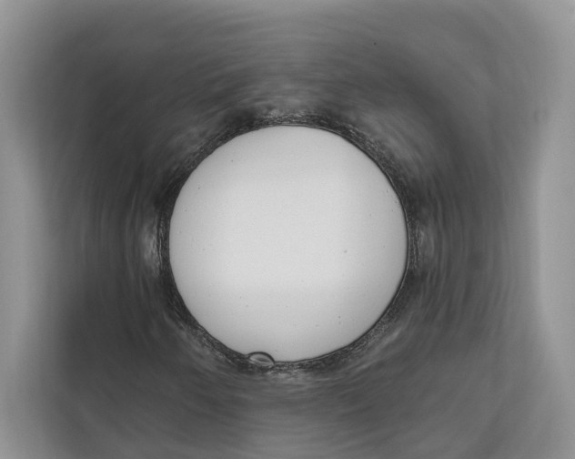 X0000111611250200908071324