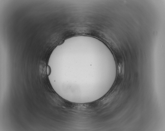 X0000111611251200908071324