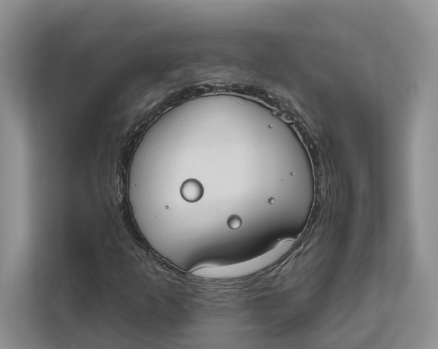 X0000111611253200908071324