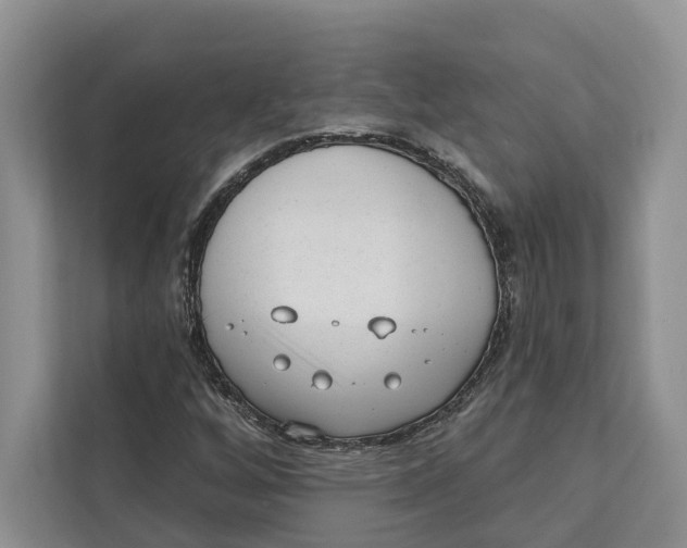 X0000111611256200908071324