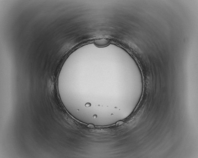 X0000111611257200908071324