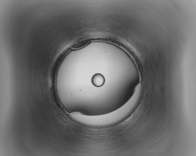 X0000111611261200908071324