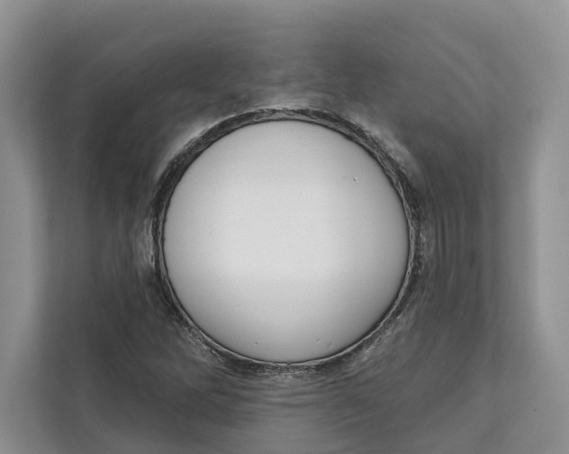 X0000111611262200908071323