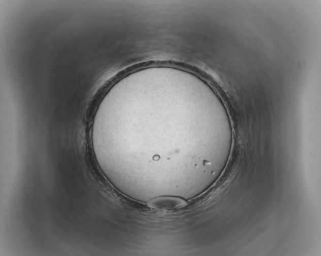 X0000111611263200908071323