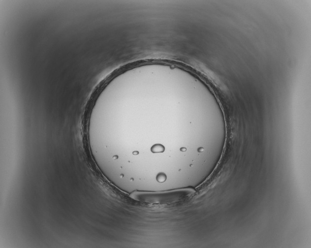 X0000111611264200908071323