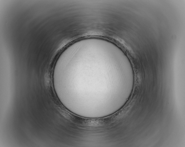 X0000111611266200908071323