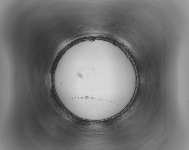 X0000111611267200908071323