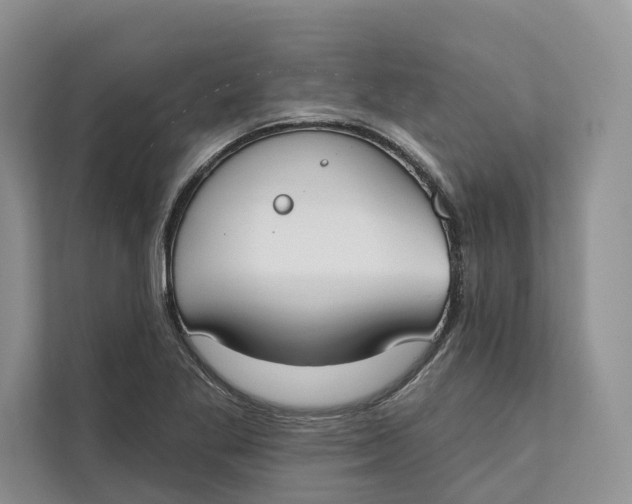 X0000111611269200908071323