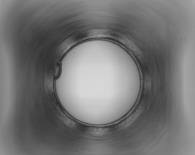 X0000111611273200908071323