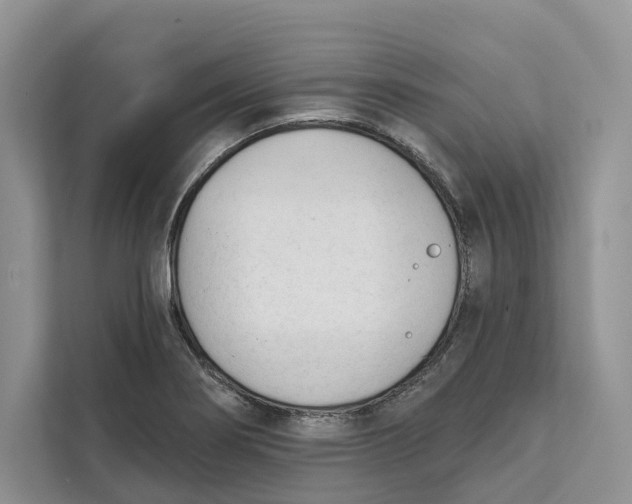 X0000111611274200908071323