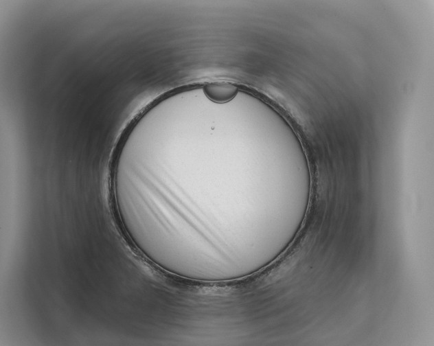 X0000111611277200908071323