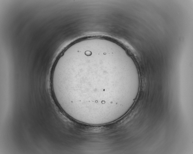 X0000111611279200908071323