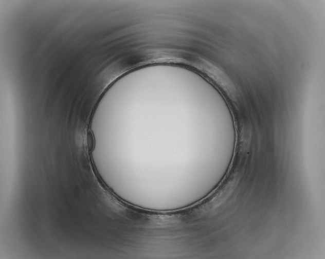 X0000111611281200908071323