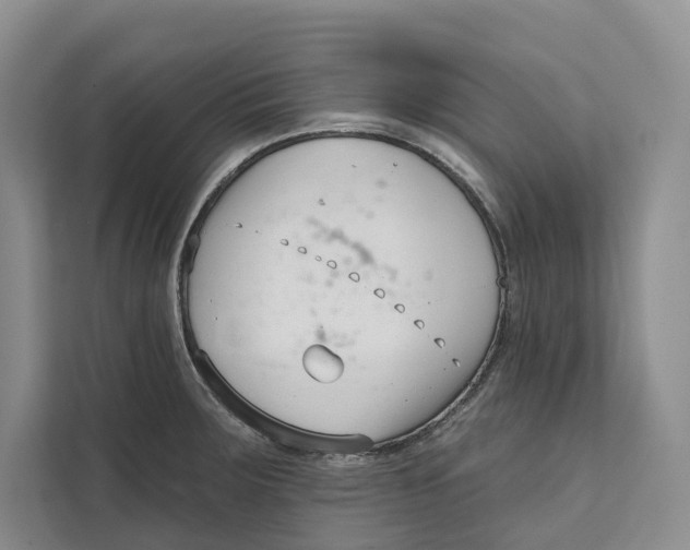 X0000111611283200908071323