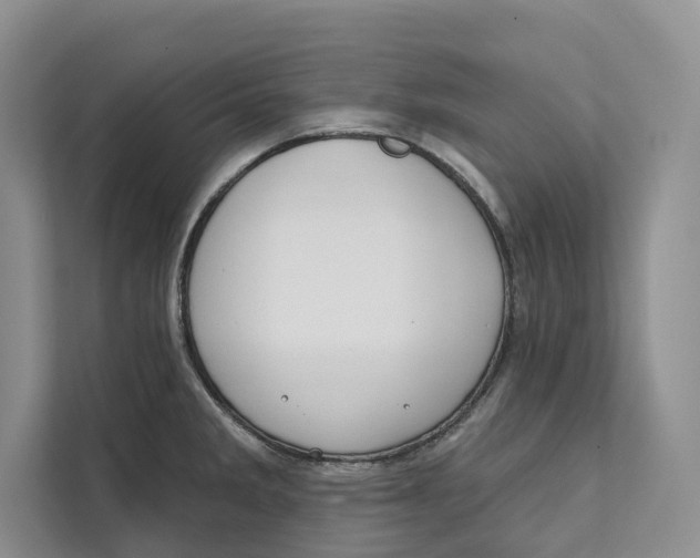 X0000111611285200908071323