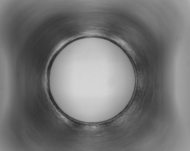 X0000111611286200908071323