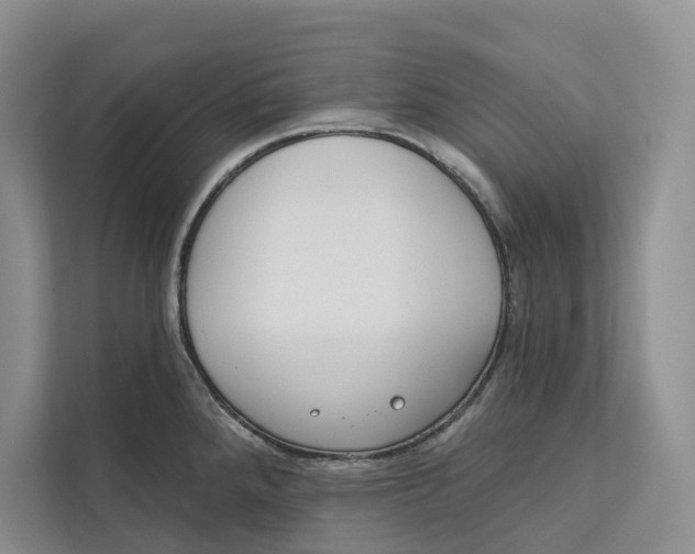 X0000111611288200908071323