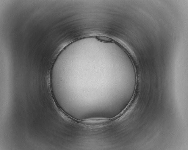 X0000111611289200908071323