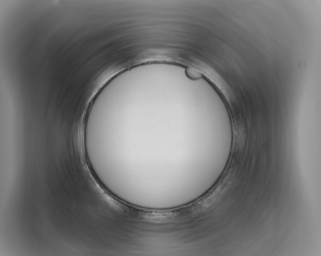 X0000111611290200908071323