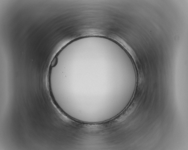 X0000111611293200908071323