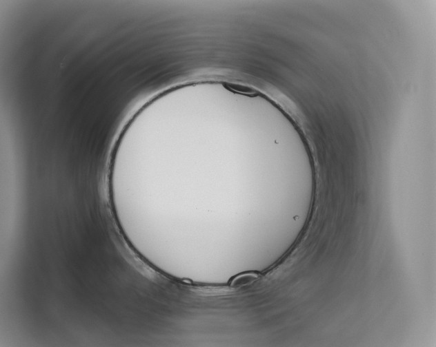 X0000111611296200908071323