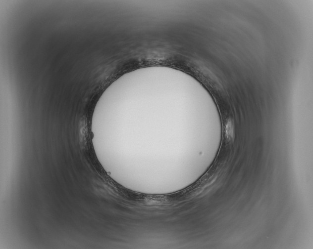 X0000111611299200908071322