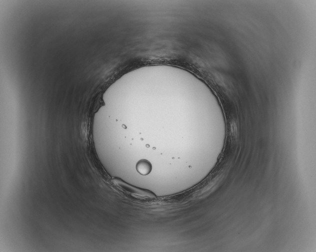 X0000111611300200908071322