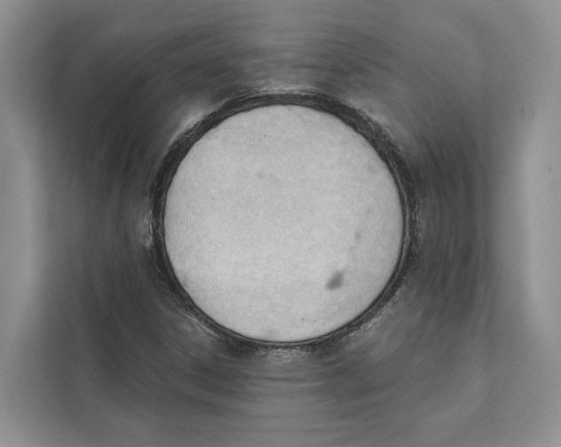 X0000111611306200908071323