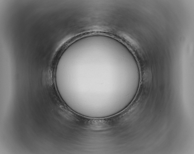 X0000111611310200908071323