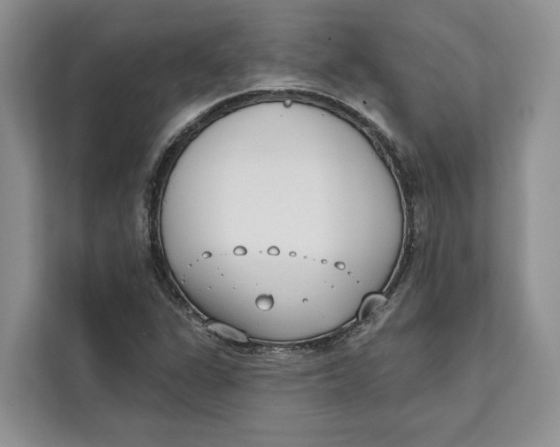 X0000111611311200908071323