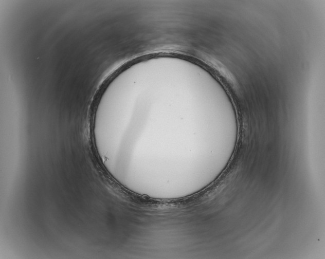 X0000111611316200908071323