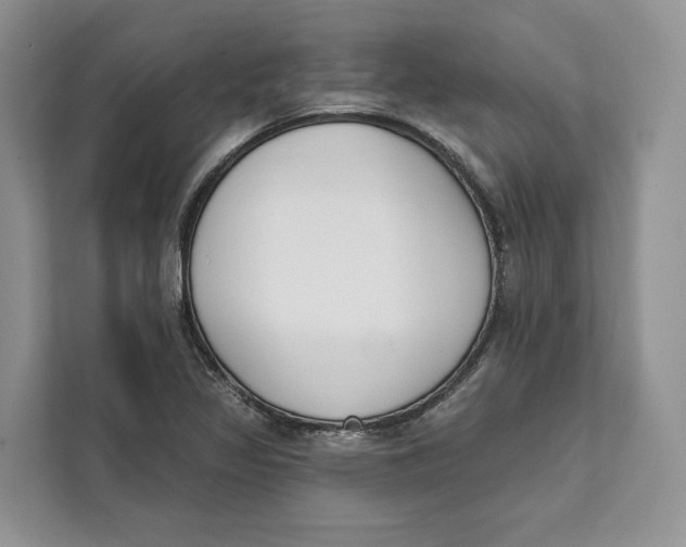 X0000111611317200908071323