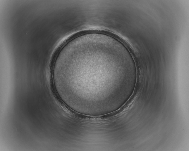 X0000111611319200908071323