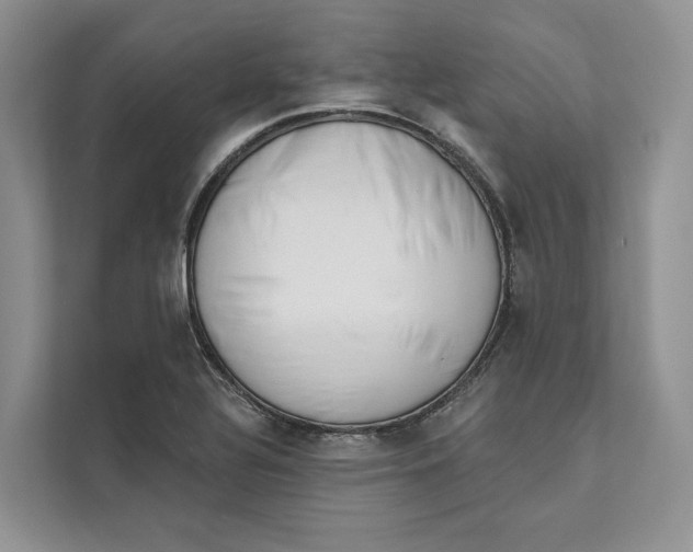 X0000111611320200908071323