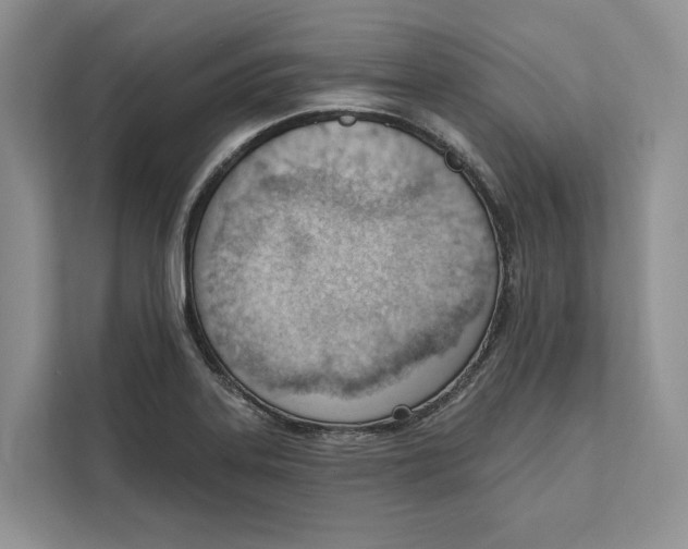 X0000111611323200908071323