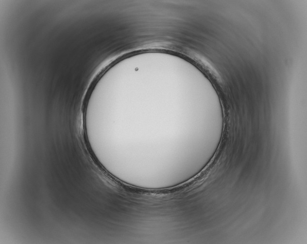 X0000111611324200908071323