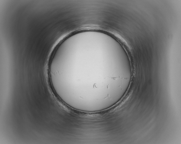 X0000111611325200908071323