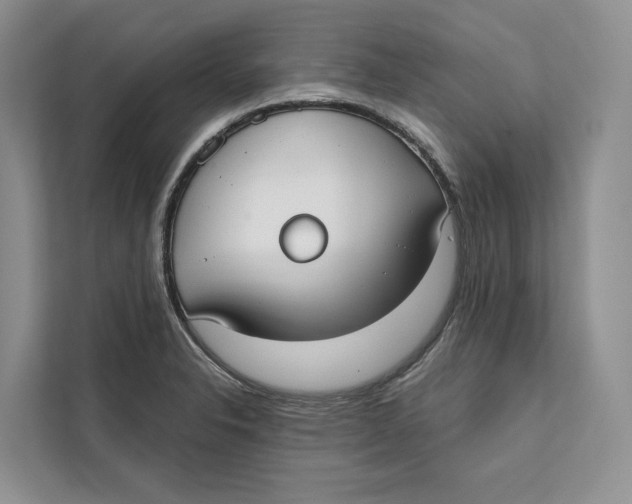 X0000111611326200908071323