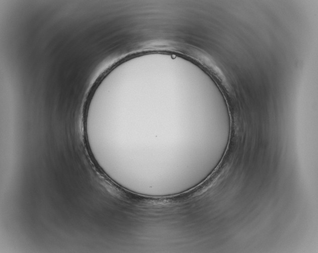 X0000111611328200908071323