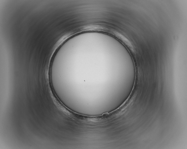 X0000111611330200908071323