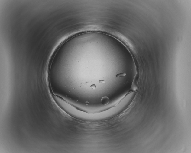 X0000111611334200908071323