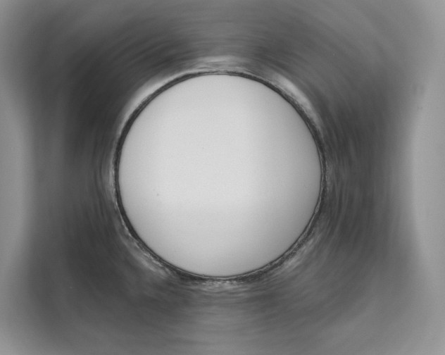 X0000111611336200908071323