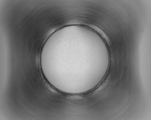 X0000111611337200908071323