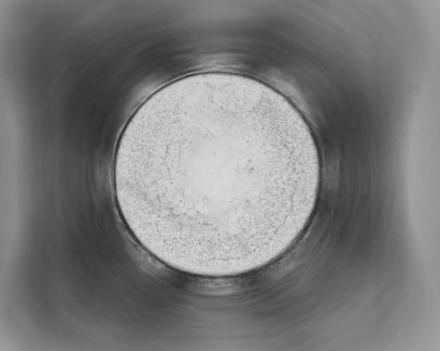 X0000111611338200908071323