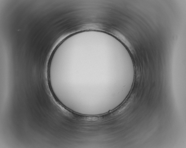 X0000111611339200908071323