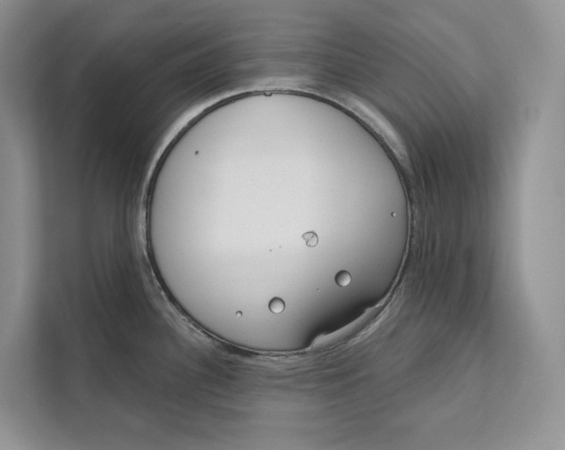 X0000111611340200908071323