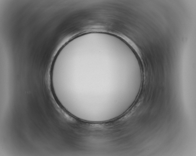 X0000111611341200908071323