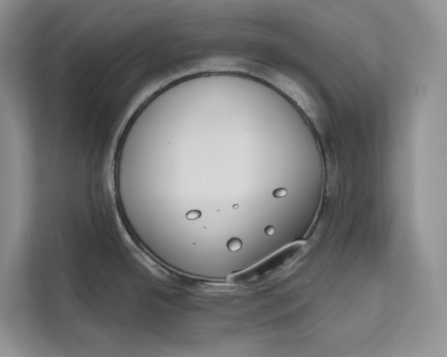 X0000111611342200908071323