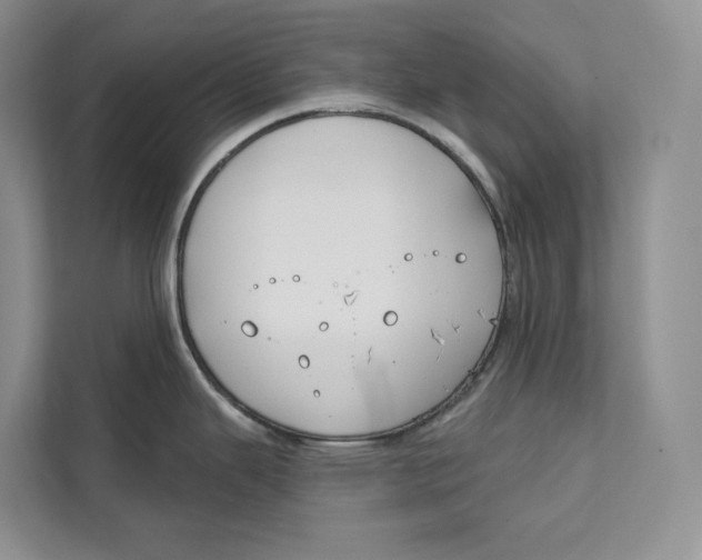 X0000111611343200908071323