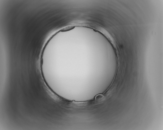 X0000111611344200908071323